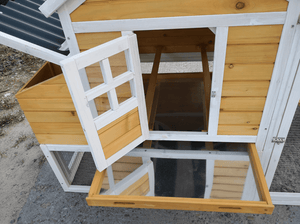 Rugged Ranch™ Laredo Wood Chicken Coop (Up to 5 chickens)