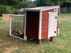 OverEZ® Coop in a Box - Coop & Run (up to 5 chickens)