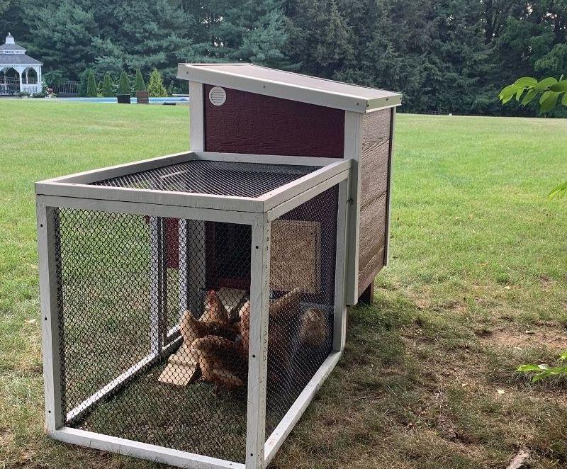 OverEZ® Coop in a Box - Coop & Run (up to 5 chickens)