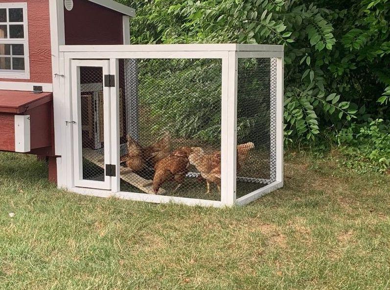 OverEZ® Coop in a Box - Coop & Run (up to 5 chickens)