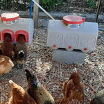 OverEZ® Chicken Feeder