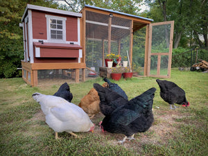 OverEZ® Medium Chicken Coop Kit (up to 10 chickens)